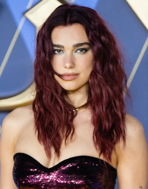 Rich Burgundy / Cherry Cola